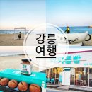 콩빵가게 | 강원도 강릉 가볼만한곳 추천 강릉 강문해변 맛집 카페 빵지순례 특산물 먹거리