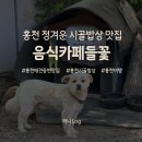 어린왕자 시골집 | 홍천 음식카페들꽃, 눈썹 강아지 직원이 반겨주는 시골밥상맛집 내돈내산 솔직후기