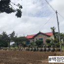 해송가든 이미지