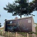 호박관광나이트(호텔나이트) | 경주 엑스포대공원 신라X좀비 호러나이트 2026 예매 가격 할인 웨이팅 후기