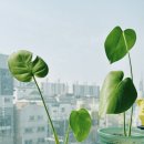 정미공방 이미지