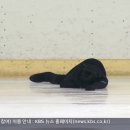 돈이 꿈을 막을 수 있다고 생각해? 이미지