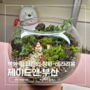 책상 위 나만의 정원 '테라리움' 후기 - 부산 금정 제이드앤 : 부산원데이클래스