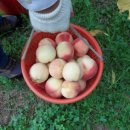 일봉농장 이미지