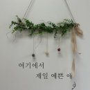 베베문아트