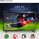 리얼엔젤플러스(