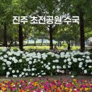 초전공원님처럼 | 진주 초전공원 수국 실시간 및 주차, 포인트 4