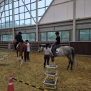 영광승마장 이미지