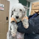 등고개주유소 이미지