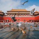 황제의 발자취 | 🕌✨ [중국 베이징] 자금성(고궁 박물원) – 황제의 발자취를 따라 걷는 압도적인 역사 체험