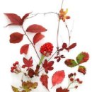 청암공인중개사사무소 이미지