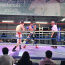 투혼복싱 이미지