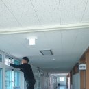 점봉초등학교 이미지