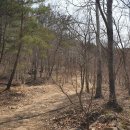 이순신장군 백의종군로 이미지