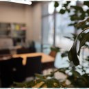 원주역무실우미린공인중개사사무소 | 무실동부동산 퀸즈부동산에서 경험한 스마트한 부동산 거래