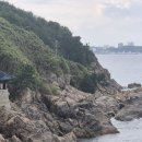 다인서울행정사사무소 이미지