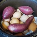 창바우농장 이미지