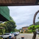 조가네오리 | 15개월 아기와 떠나는 횡성 대관령 강원도 여행 맛집 기록 #1일차