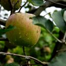 구암농장 이미지