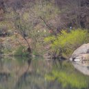 금강변길 이미지