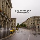 베른 이미지