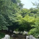 상주 복룡동 석조여래좌상 | 상주 왕산역사 공원 -상주읍성터, 상주 옥터