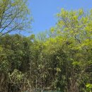 신나로힐링펜션 이미지