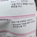 5월 27일부터 6월 2일까지 주간 일기