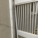 대문약국 이미지