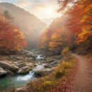 덕산기에서 | 덕산기계곡 단풍, 아는 사람만 아는 정선 비밀 명소