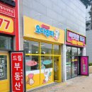 오다주따 이미지