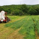 하모니농장 이미지