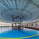 자유로 레저 | 파주 자유로 평상과 물놀이 한 번에 즐기는 파주수영장 자유로레저워터파크 방문후기