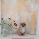 잘다녀오시개 이미지