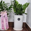 이루다태권도 이미지