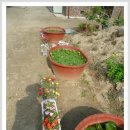 위례초등학교 이미지