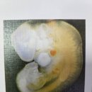 호성한의원 이미지