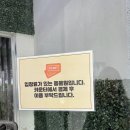 세븐디가든앤쥬 | 실내 동물 카페 "세븐디가든 앤 쥬" 방문 후기! 장마철 무더운 여름 아이들과 함께 갈 만한 곳!