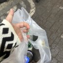 대파랑통닭평화점