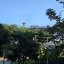 DMZ평화관광안내센터 | DMZ 평화관광 제3땅굴 도라전망대 통일촌직판장 후기 | 서울에서 단 1시간 분단의 현장을 보다
