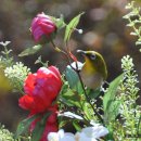 좋은생각 이미지