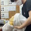 국제미용직업전문학교 이미지