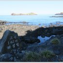 무릉외갓집 이미지