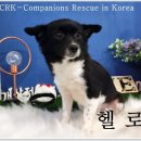헬로!은비 이미지