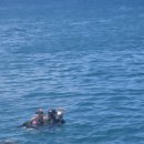 스넥테라스 | 괌여행 아이랑 돌핀크루즈(PIC슈퍼골드패스혜택/미드썸머크루즈/에매랄드밸리10분투어/거북이투어)