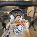 소비우숯불구이 | 🐂캠핑 소고기 추천_구미우 프리이엄 소고기구이 한우 등심 1++9등급 숯불구이 후기