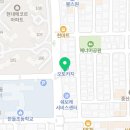 전주강아지분양 미니퍼피 가정견사 직영 이미지