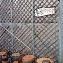 초정화원 이미지