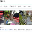 감성커피행주
