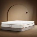 주식회사 셀라이프 이미지